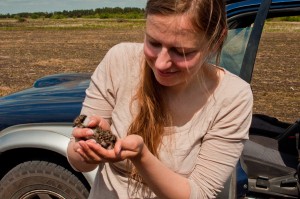 Researcher Kristina releasing chicks after tagging